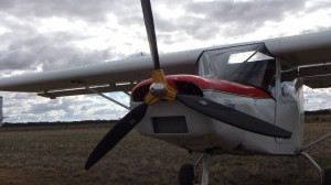 fly in 015 (deleted 1d7780e5956a613365d0c568e8ec3609)